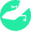 Lizard Global